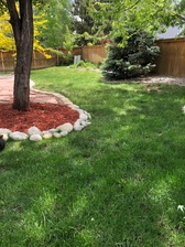Ferraro Lawn & Landscape logo