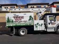 Avatar for The Tree Guy