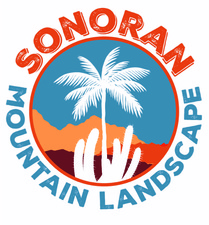 Avatar for Sonoran Mountain Landscape