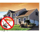 Avatar for Baxter Pest Control Co., Inc.