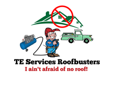 Avatar for T E Services