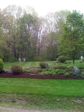 Avatar for LA Lawncare