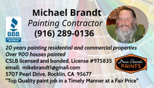 Logo for Michael Brandt Enterprises