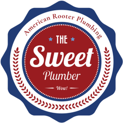 American Rooter logo
