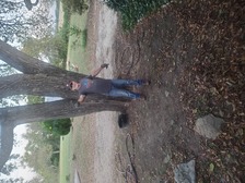 Avatar for South Austin Tree &Lawn