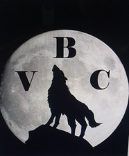 Villalobos Brothers Construction, LLC logo