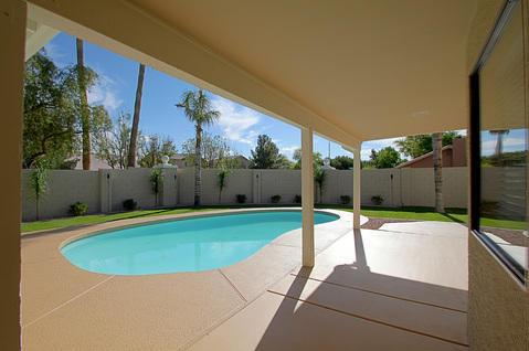 Contemporary Pool with mature palm trees
