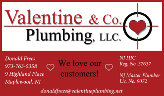 Valentine and Company Plumbing, LLC logo