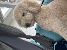 Avatar for Lumark Wood Floors, Inc.