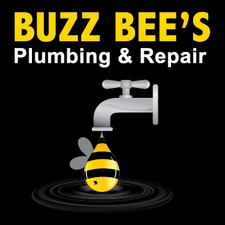 Avatar for Buzz Bees Plumbing & Repair, LLC