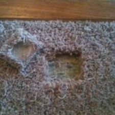 Erie Pa Based Flooring Company Residential And Commercial Client Services Include Installation Subfloor Prep Structural Floor Repairs And Stair Runners