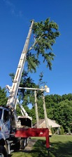 Logo for Affordable Tree Services