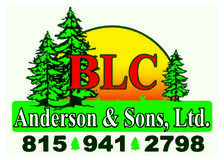 Logo for Anderson & Sons, Ltd.