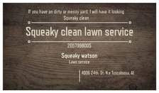 Avatar for Squeaky Clean Lawn Service