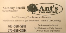Logo for Ant's Tree Service