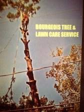 Avatar for Bourgeois's Tree & Lawn Service
