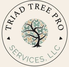 Avatar for Triad Tree, Roofing & Restoration