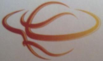 Firefly Construction Services, Inc. logo