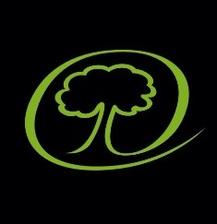 Avatar for Tabernacle Tree and Land Solutions