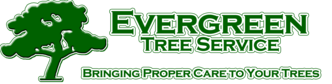 Evergreen Tree Service LLC logo