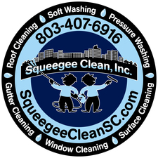 Squeegee Clean, Inc. logo