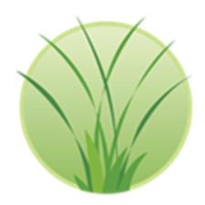 Top Seed Landscaping logo