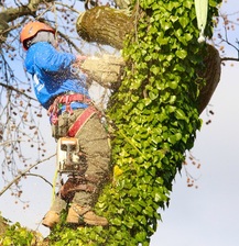 Logo for Trust Planet