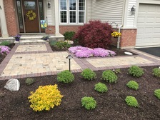 Curt Peterson Landscaping logo