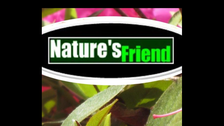 Avatar for Nature's Friend Lawn