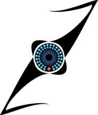 M&P Security Solutions, LLC logo