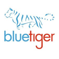 Logo for Blue Tiger Integration