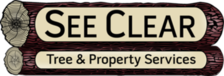 Avatar for See Clear Enterprises, LLC