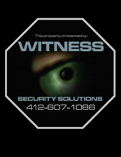 Witness Security Solutions, LLC logo