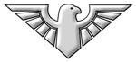 Logo for All American Services of Virginia, LLC