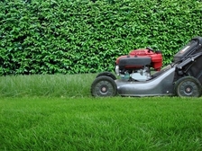 Penaloza's Gardening Service logo