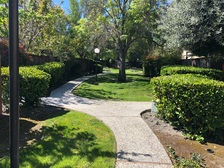 Mario's Landscape and Tree Care logo