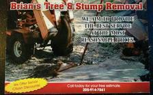 Logo for Brian's Tree & Stump Removal