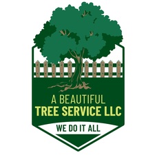 Logo for A Beautiful Tree Service
