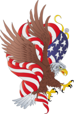 American Eagle Plumbing, Inc. logo