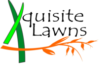 Xquisite Lawns logo