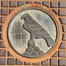 Falcon Enterprises, Inc. logo