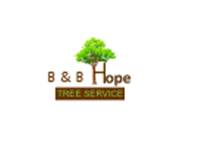Logo for Brian Beekman