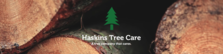 Logo for Haskins Tree Care, LLC