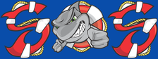 Avatar for Sink or Swim Pools and Patios