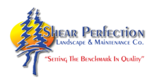 Shear Perfection Landscape & Maintenance logo