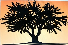 Environmental Landscape Concepts, LLC logo