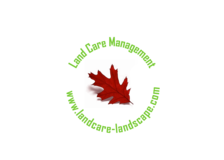 Land Care Management Services, LLC logo