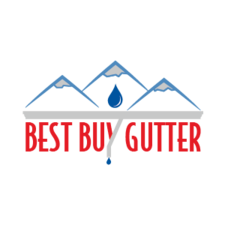 Avatar for Best Buy Gutter