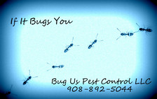 Logo for Bug Us Pest Control, LLC