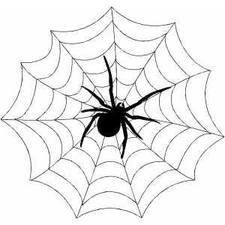 D & N Exterminating, LLC logo
